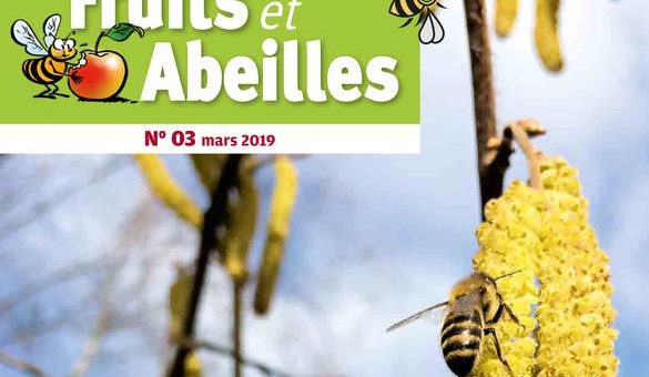 Article Hymenoptera dans la revue « Fruits et Abeilles » mars 2019